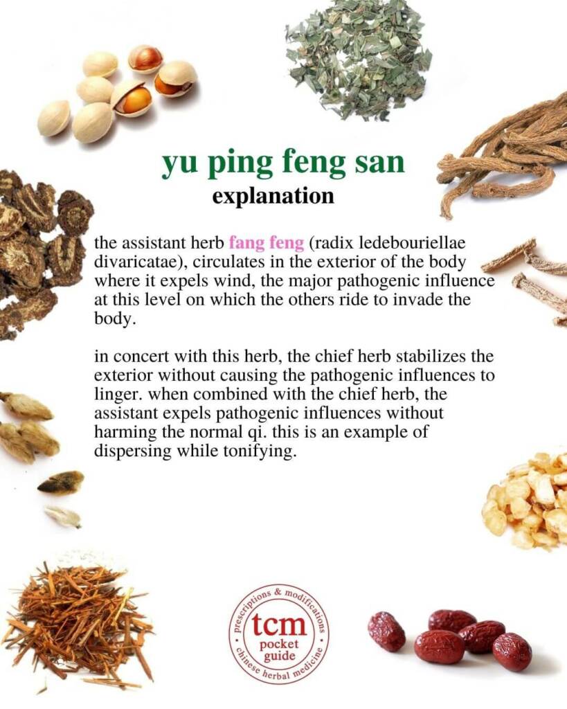 yu ping feng san explanation 2