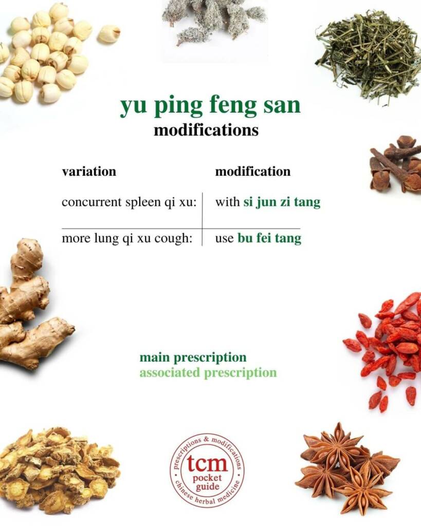 yu ping feng san modifications 2