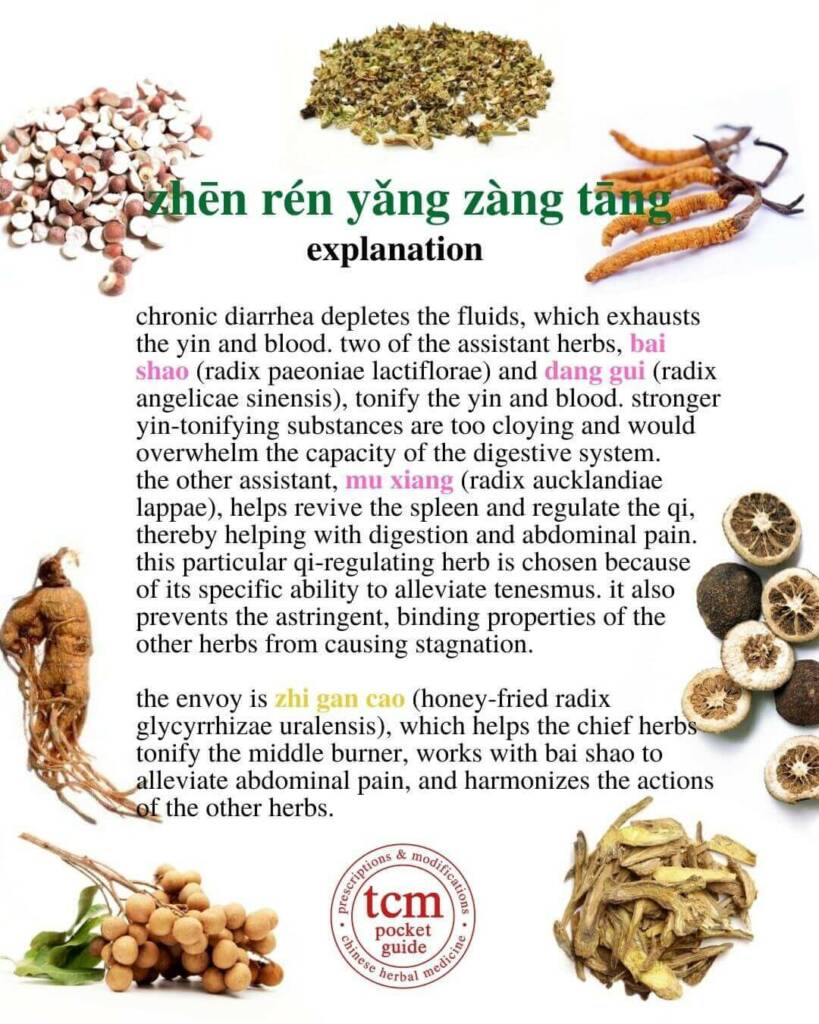 zhēn rén yǎng zàng tāng explanation 2