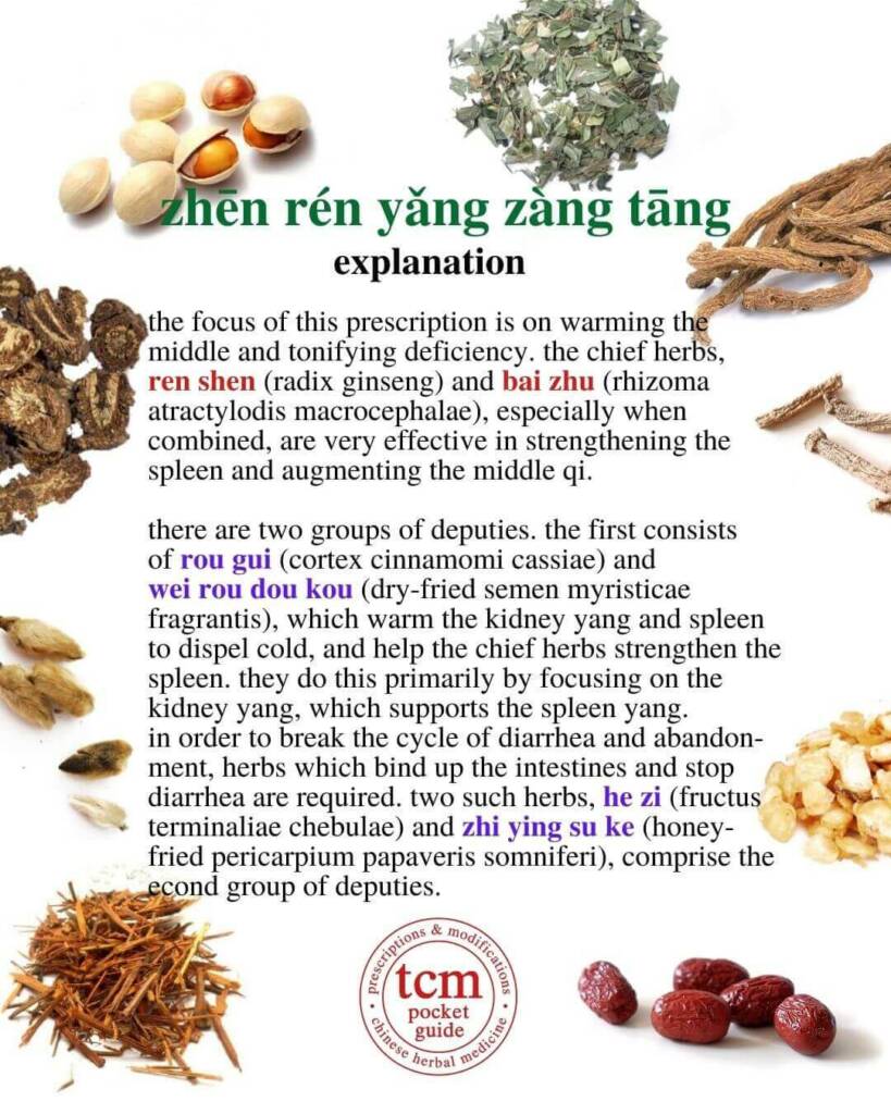 zhēn rén yǎng zàng tāng explanation