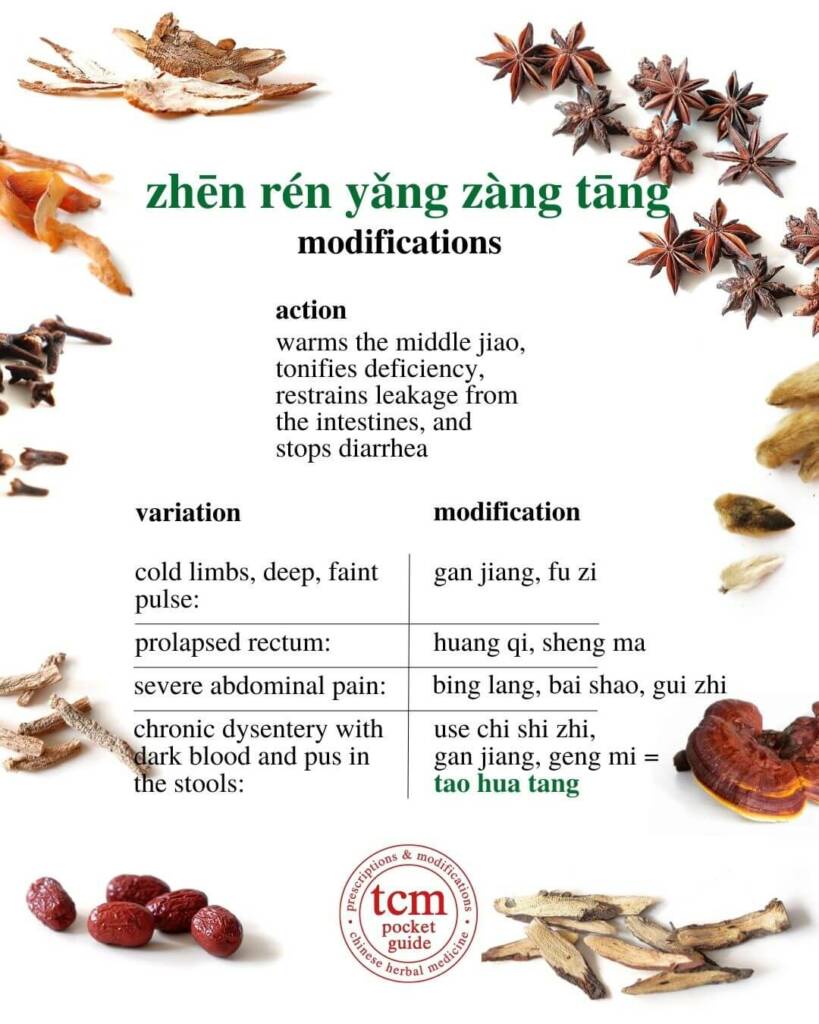 zhēn rén yǎng zàng tāng modifications