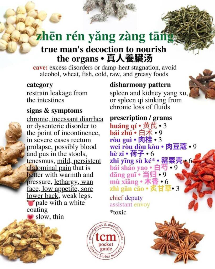 zhēn rén yǎng zàng tāng prescription - tcm pocketguide