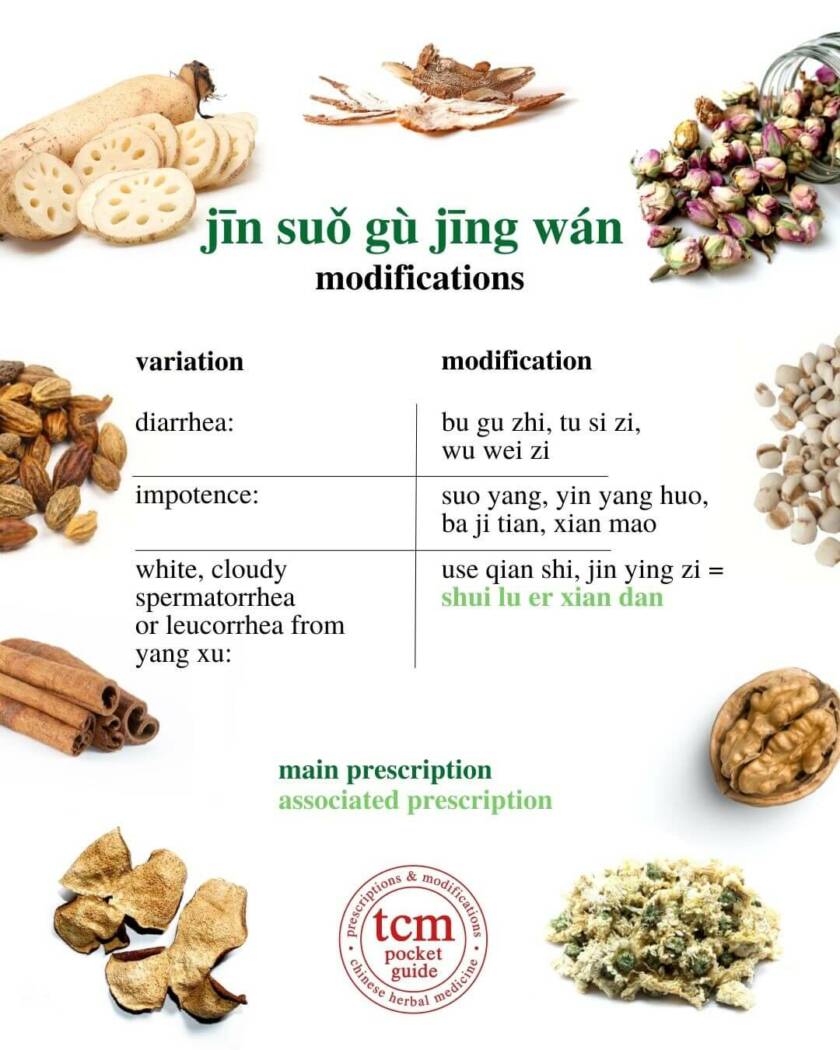 jin suo gu jing wan • 金锁固精丸 | TCM Pocketguide