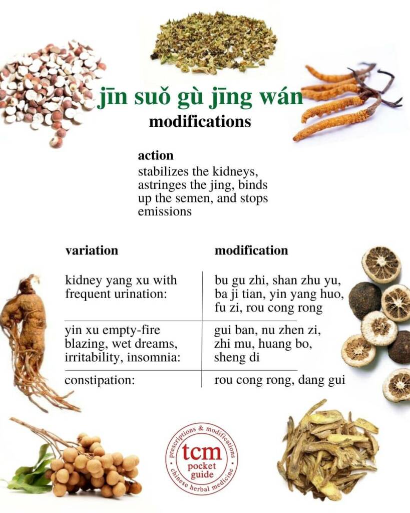 jin suo gu jing wan modifications