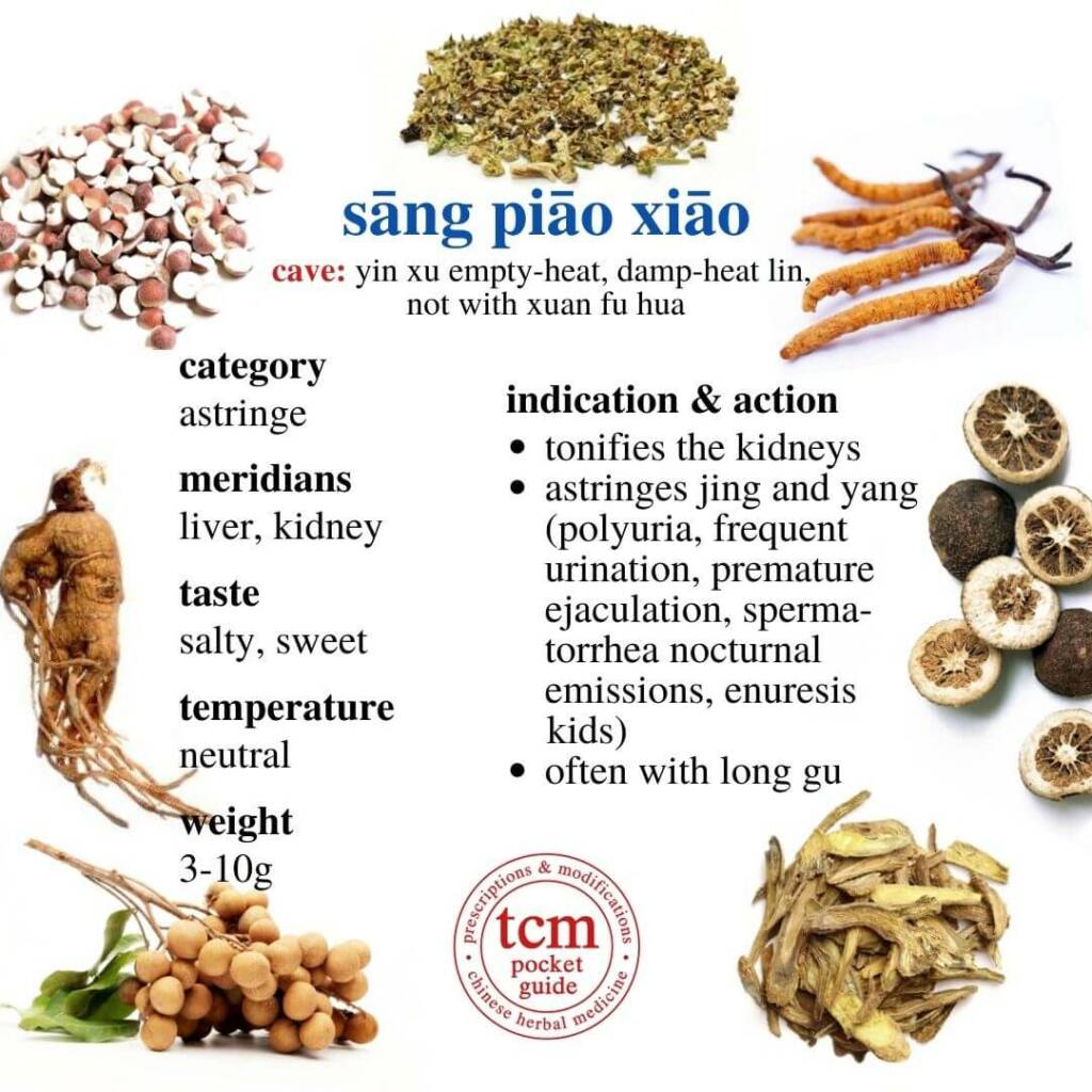 sang piao xiao indication action