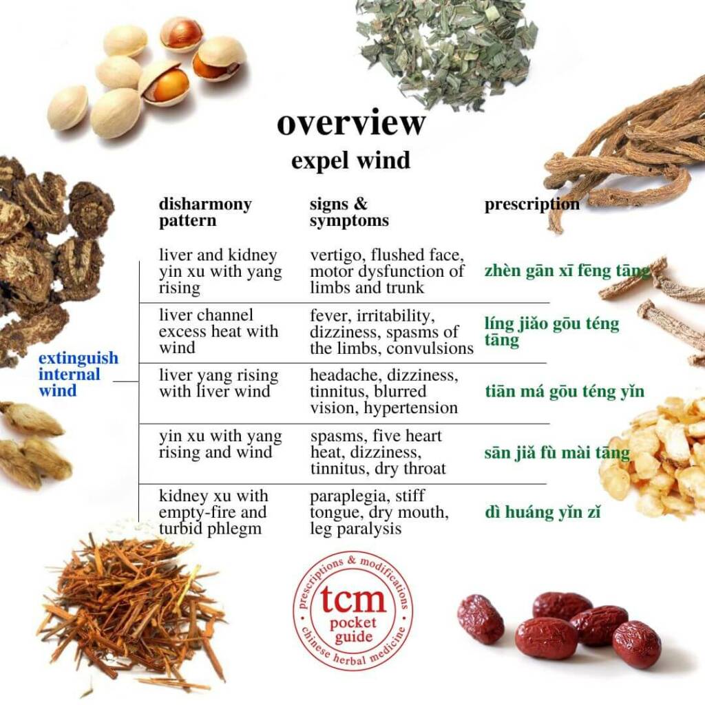 overview expel wind, extinguish internal wind