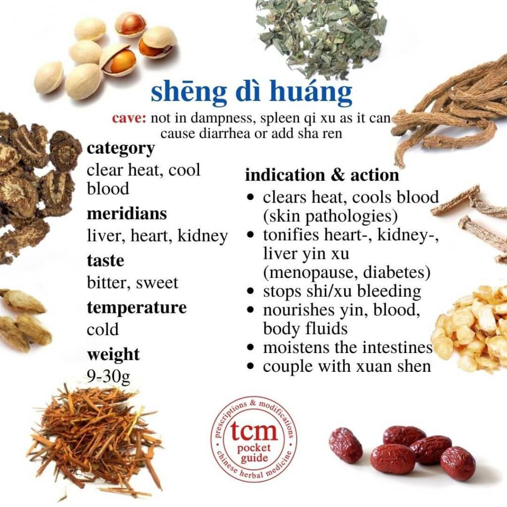 sheng di huang indication action