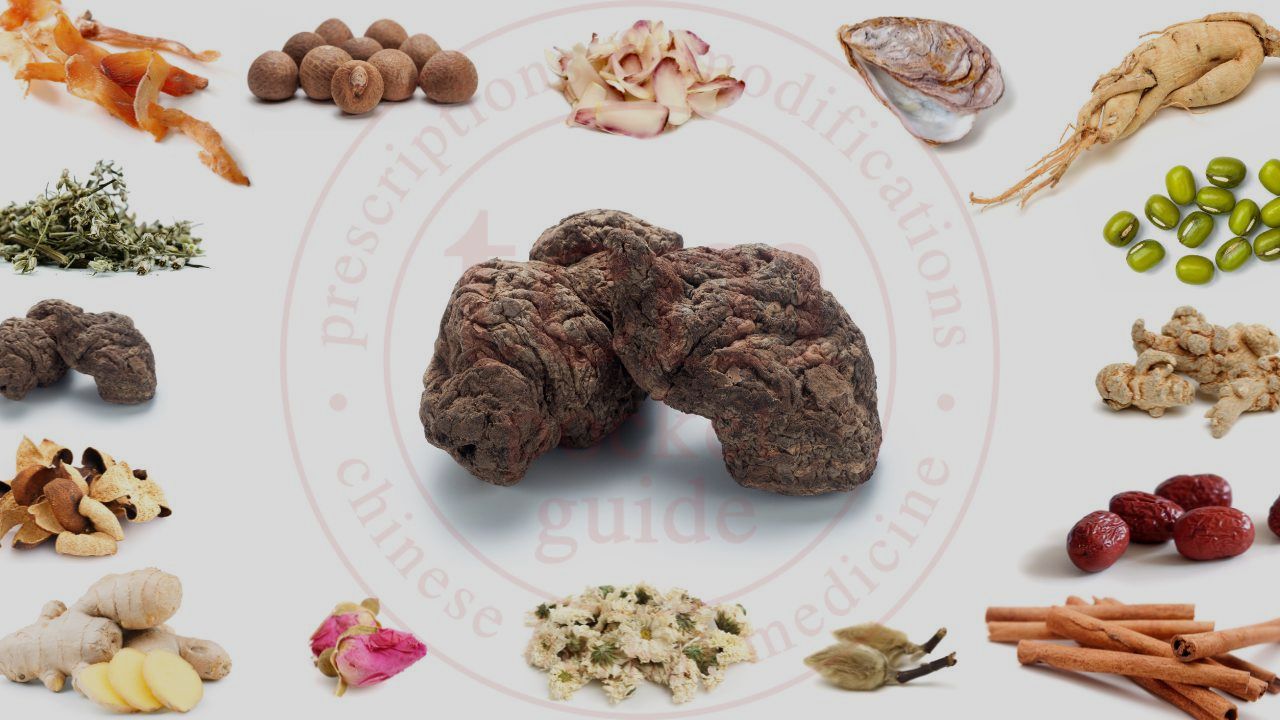sheng di huang • 生地黄 | TCM Pocketguide