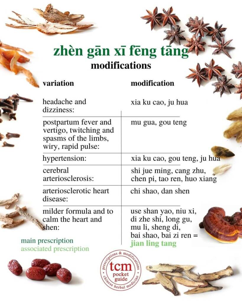 Zhen Gan Xi Feng Tang modifications 2