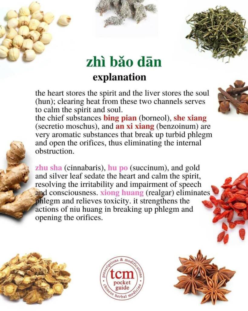 Zhi Bao Dan explanation 2