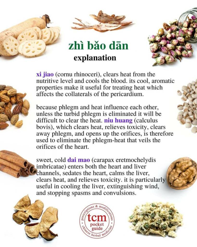 Zhi Bao Dan explanation