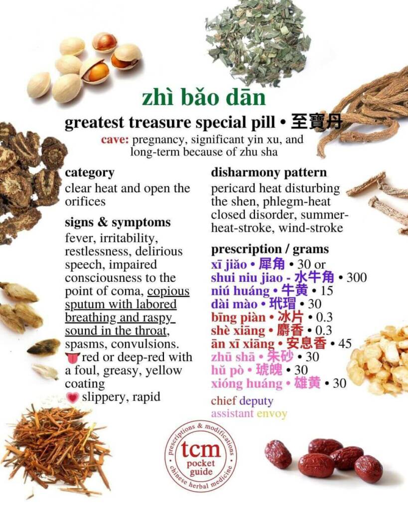 Zhi Bao Dan prescription - tcm pocketguide