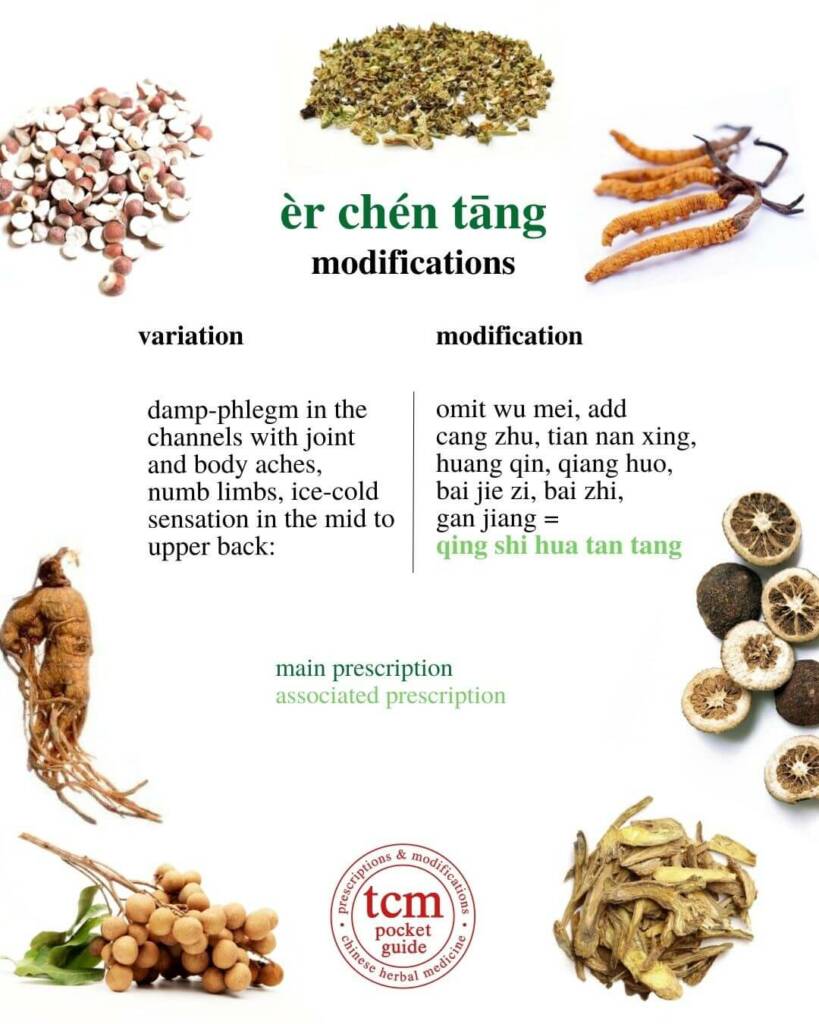 er chen tang modifications 4