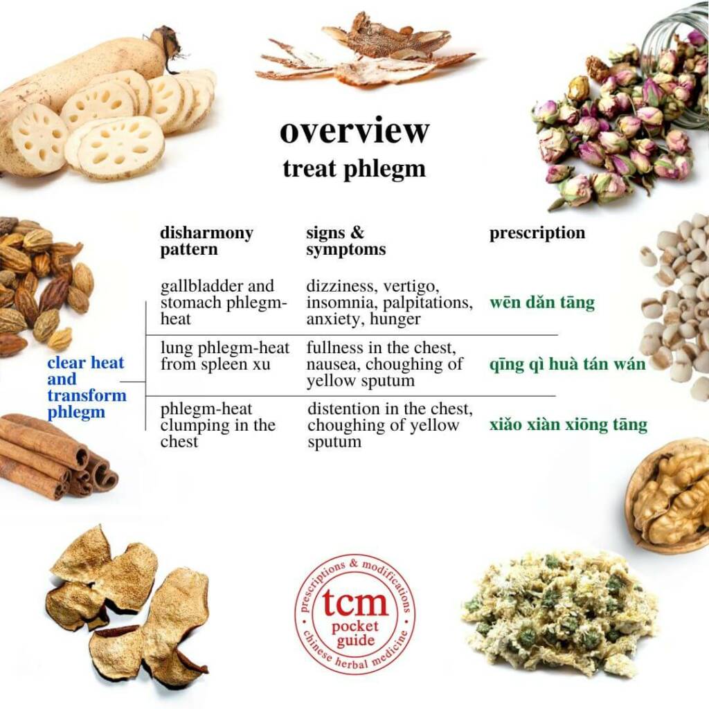 overview treat phlegm, clear heat and transform phlegm