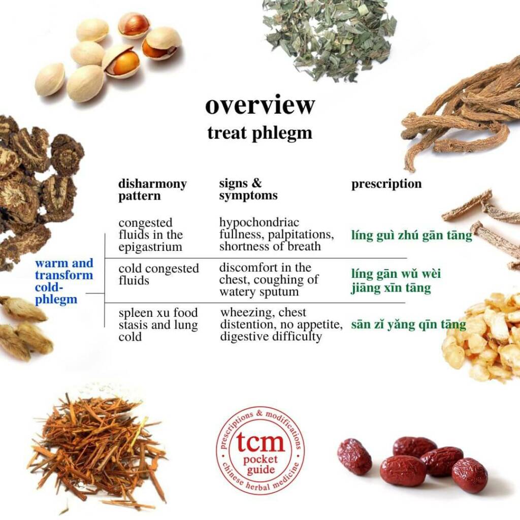 overview treat phlegm, warm and transform cold-phlegm