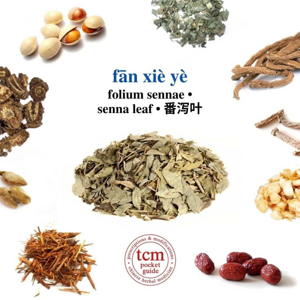 fan xie ye herb