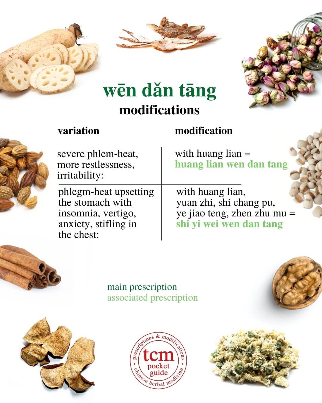 Wen Dan Tang TCM Pocketguide Wen Dan Tang TCM Pocketguide