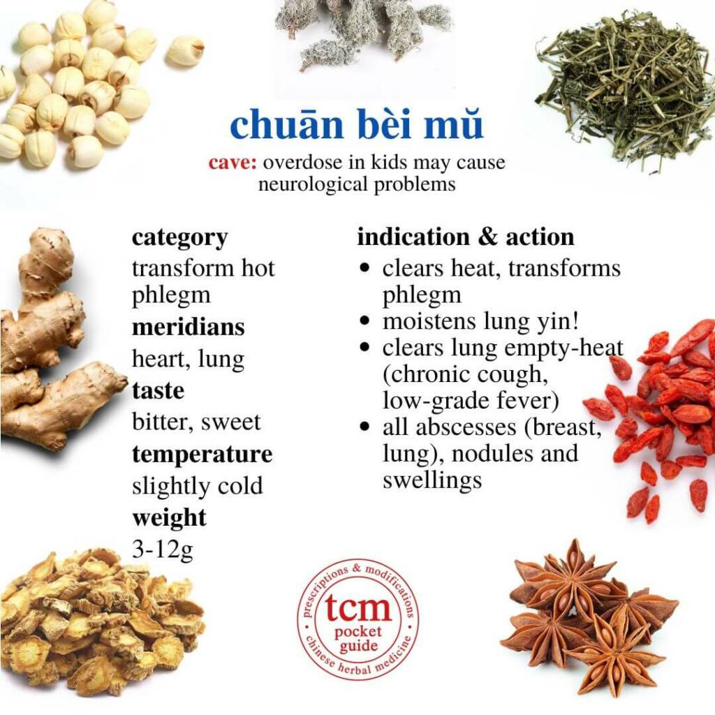 chuan bei mu indication action