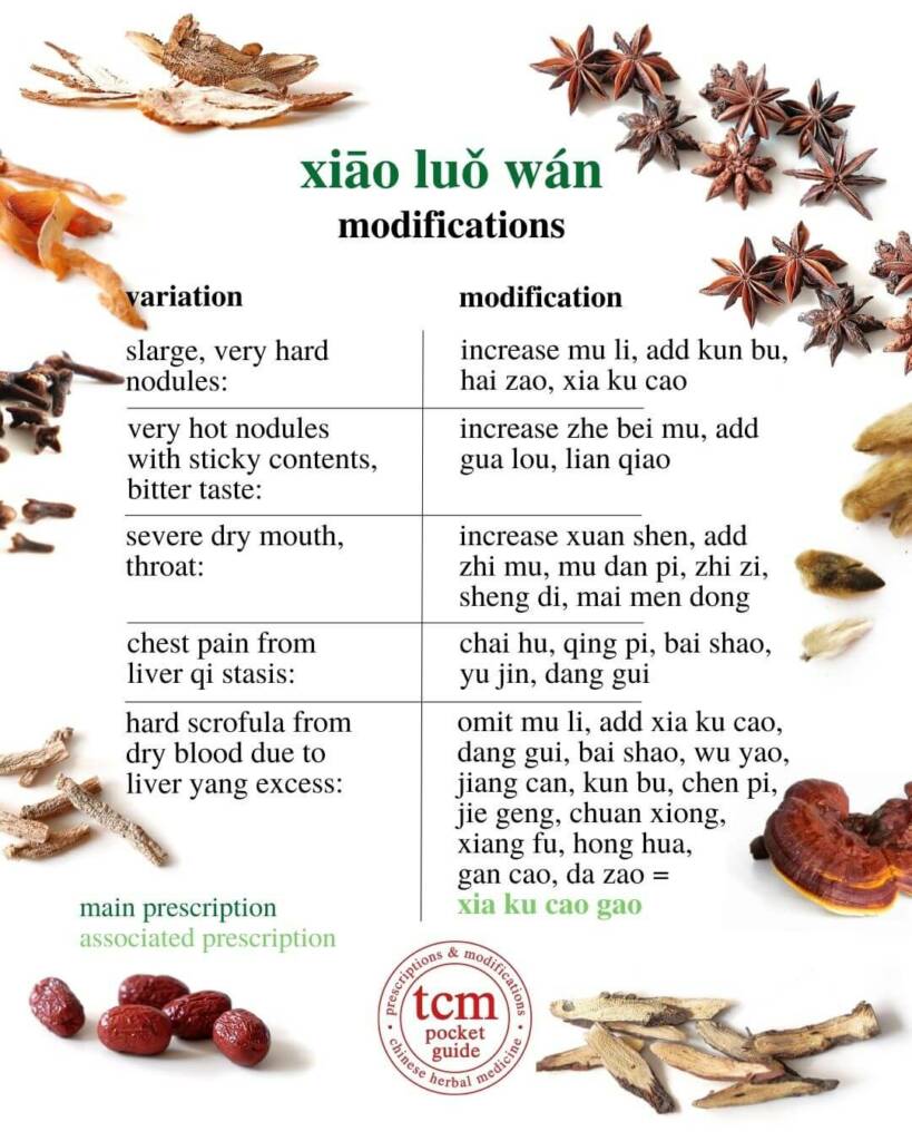 xiao luo wan modifications