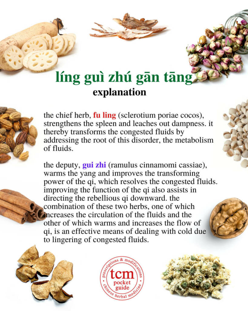 ling gui zhu gan tang explanation