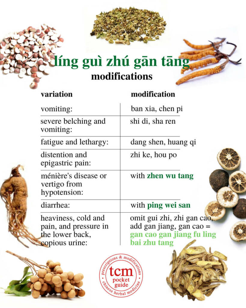 ling gui zhu gan tang modifications