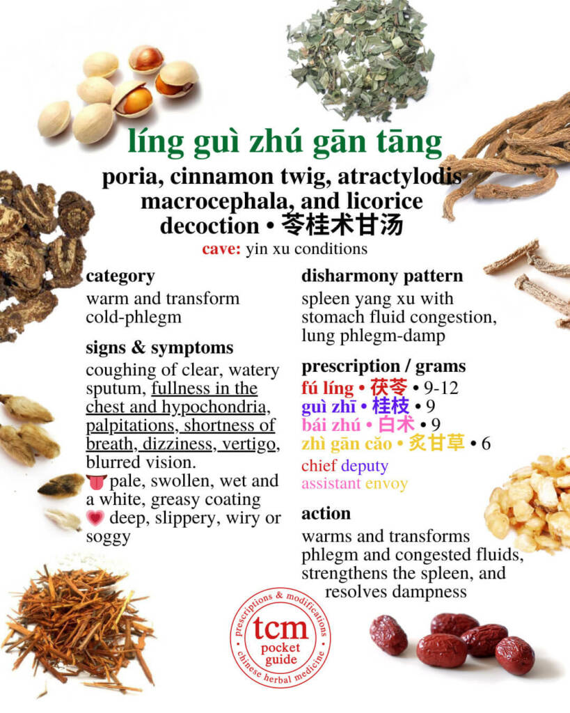 ling gui zhu gan tang prescription - tcm pocketguide