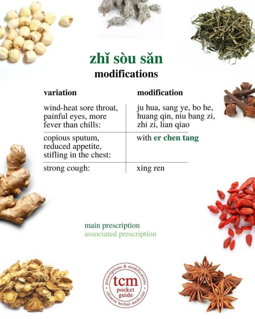 zhi sou san modifications 2