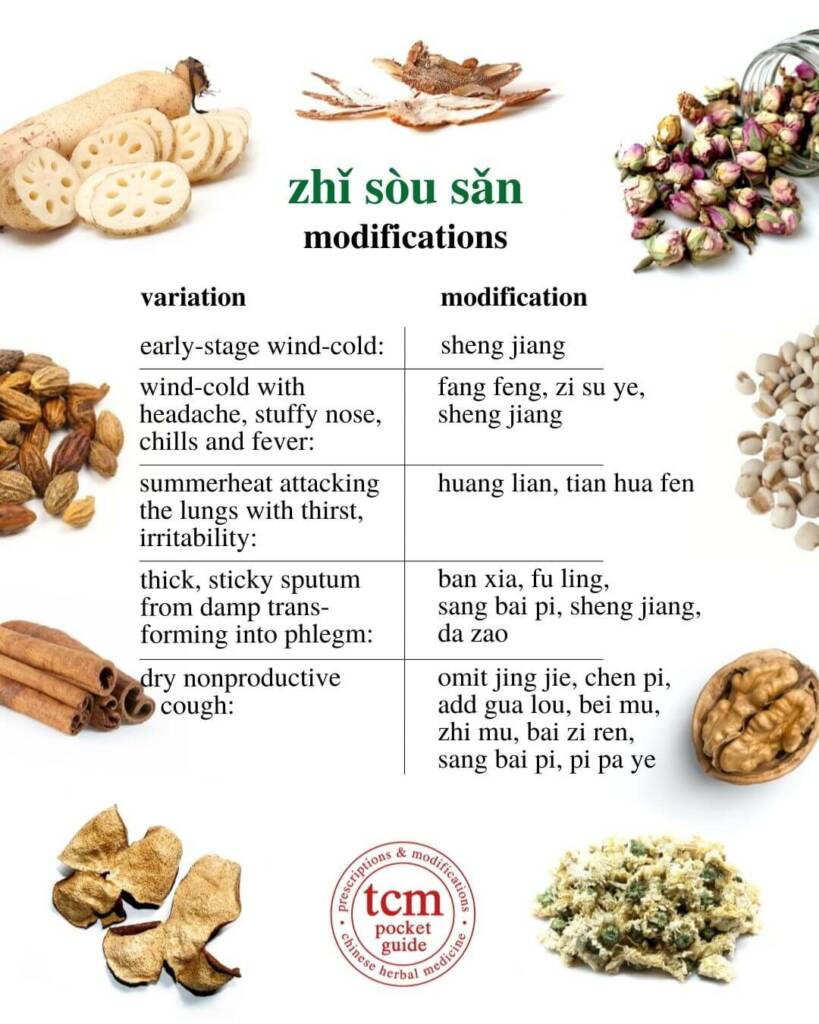 zhi sou san modifications