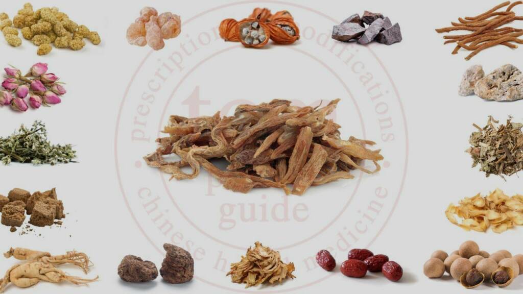 bai bu tcm pocketguide blog post