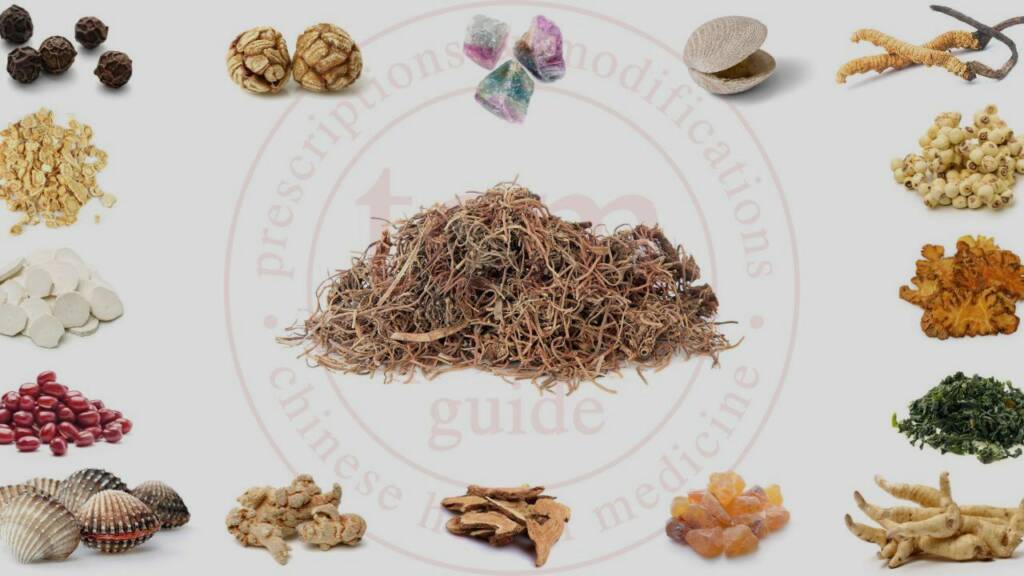 bai qian tcm pocketguide blog post