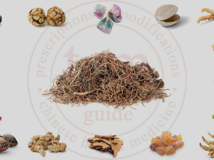 bai qian tcm pocketguide blog post