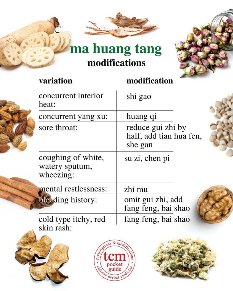 ma huang tang modifications 1