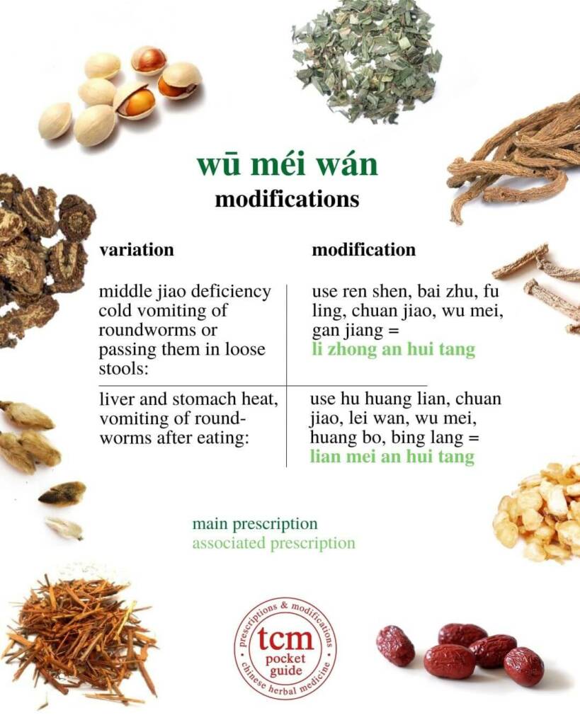 wu mei wan modifications 2