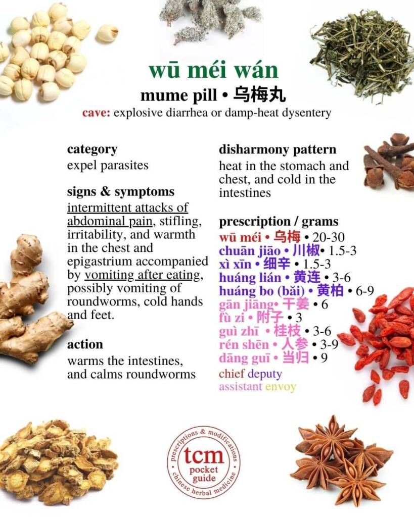 wu mei wan prescription - tcm pocketguide