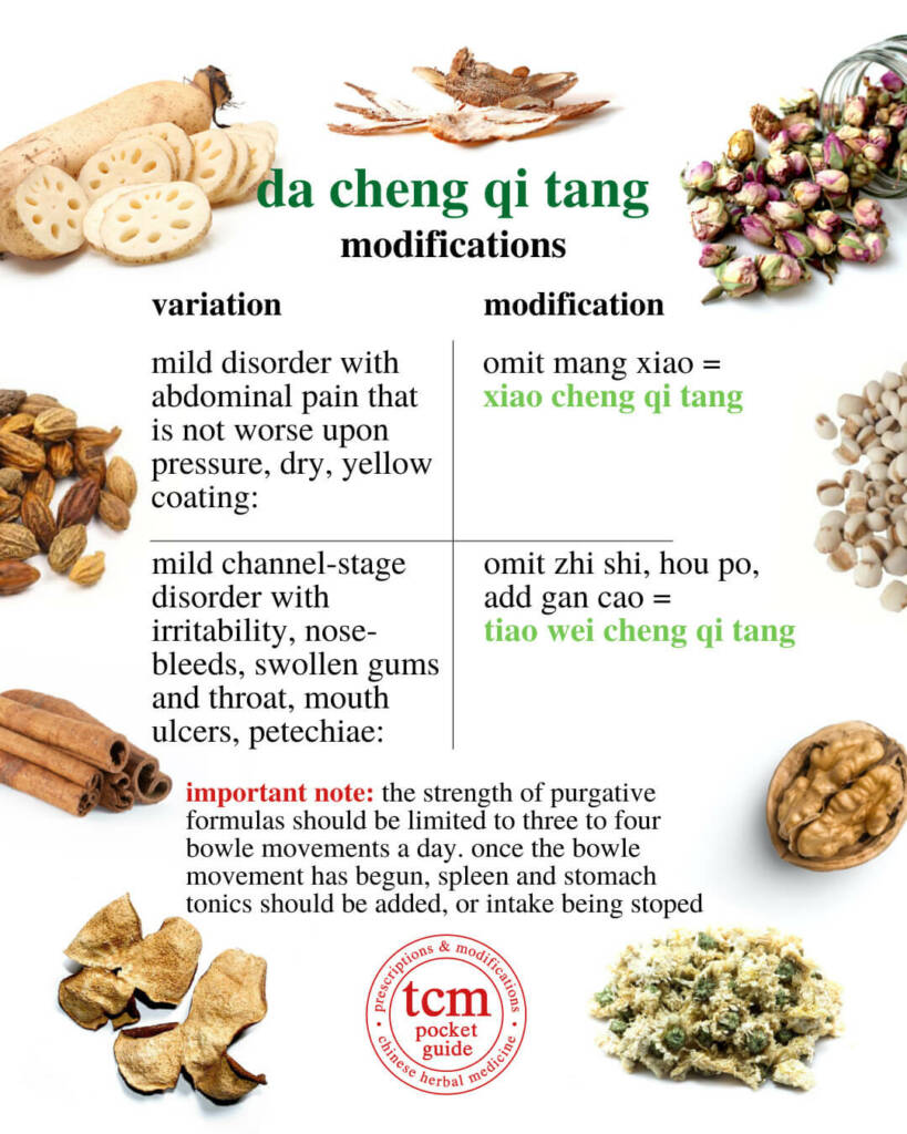 da cheng qi tang modifications 2