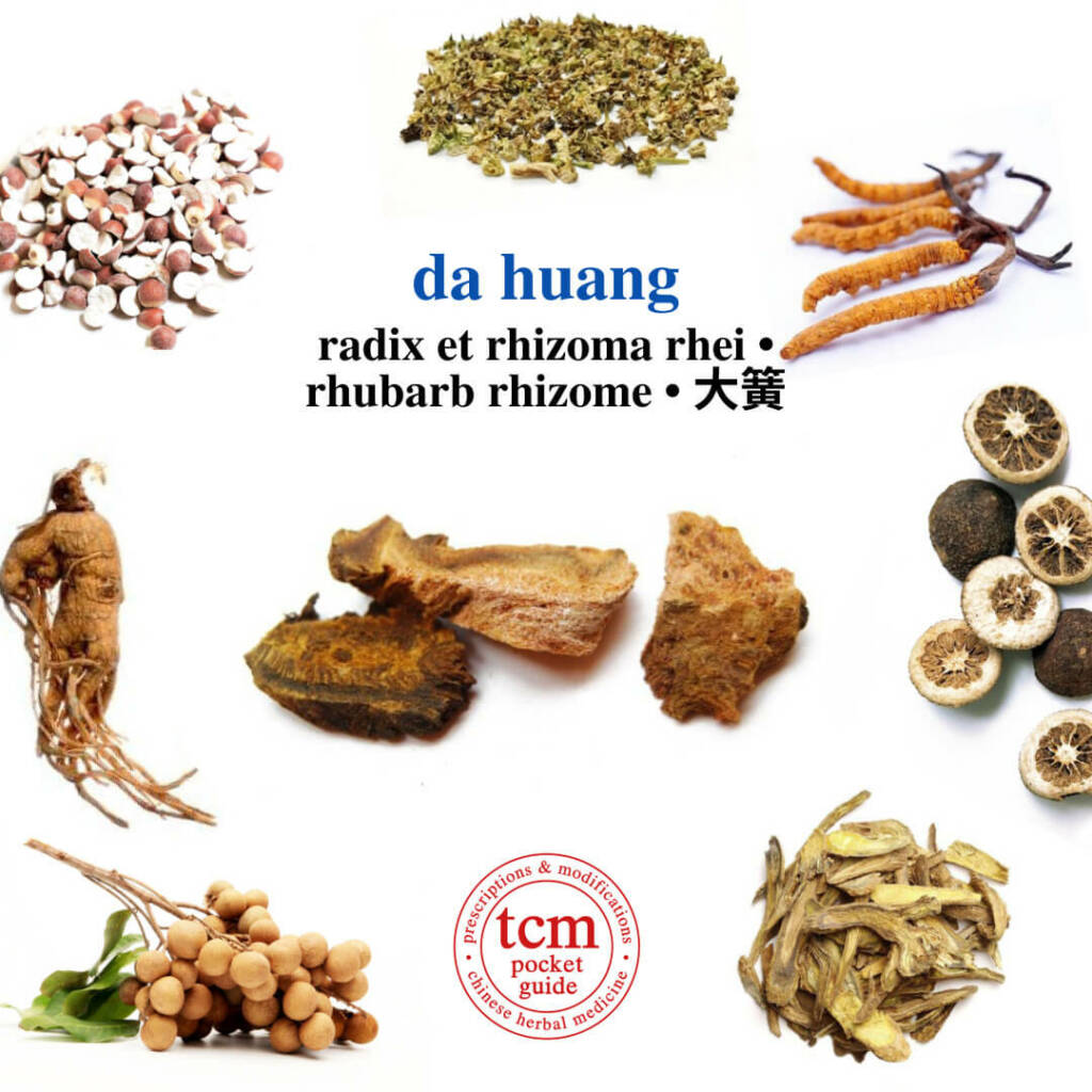 tcm pocketguide da huang herb