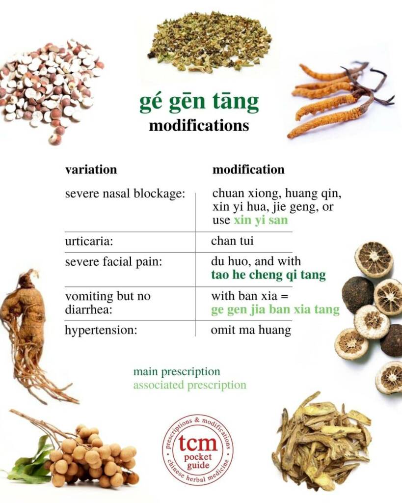 ge gen tang modifications