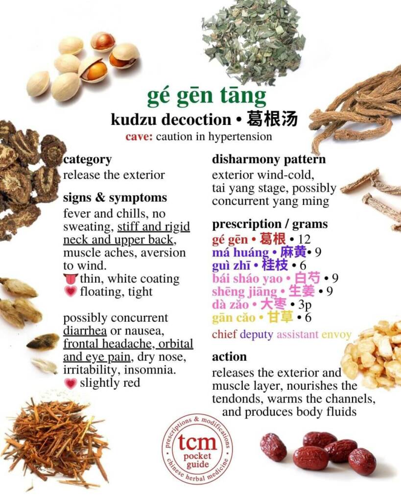 ge gen tang prescription - tcm pocketguide