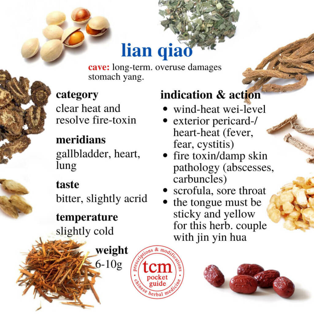 tcm pocketguide lian qiao indication action