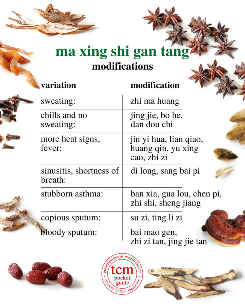 ma xing shi gan tang modifications 1