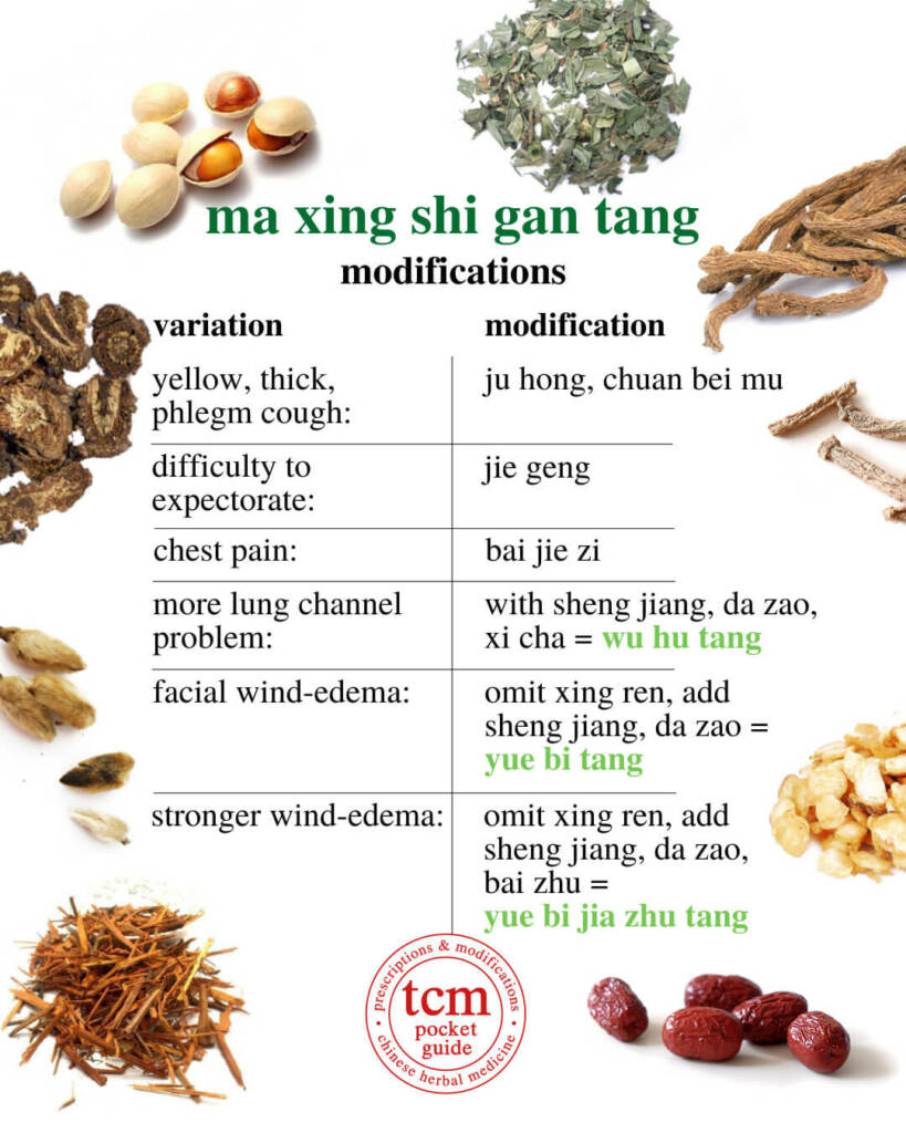 ma xing shi gan tang modifications 2