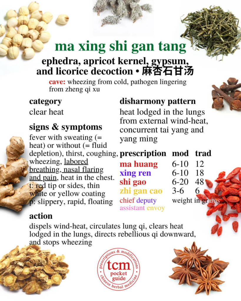 ma xing shi gan tang prescription - tcm pocketguide