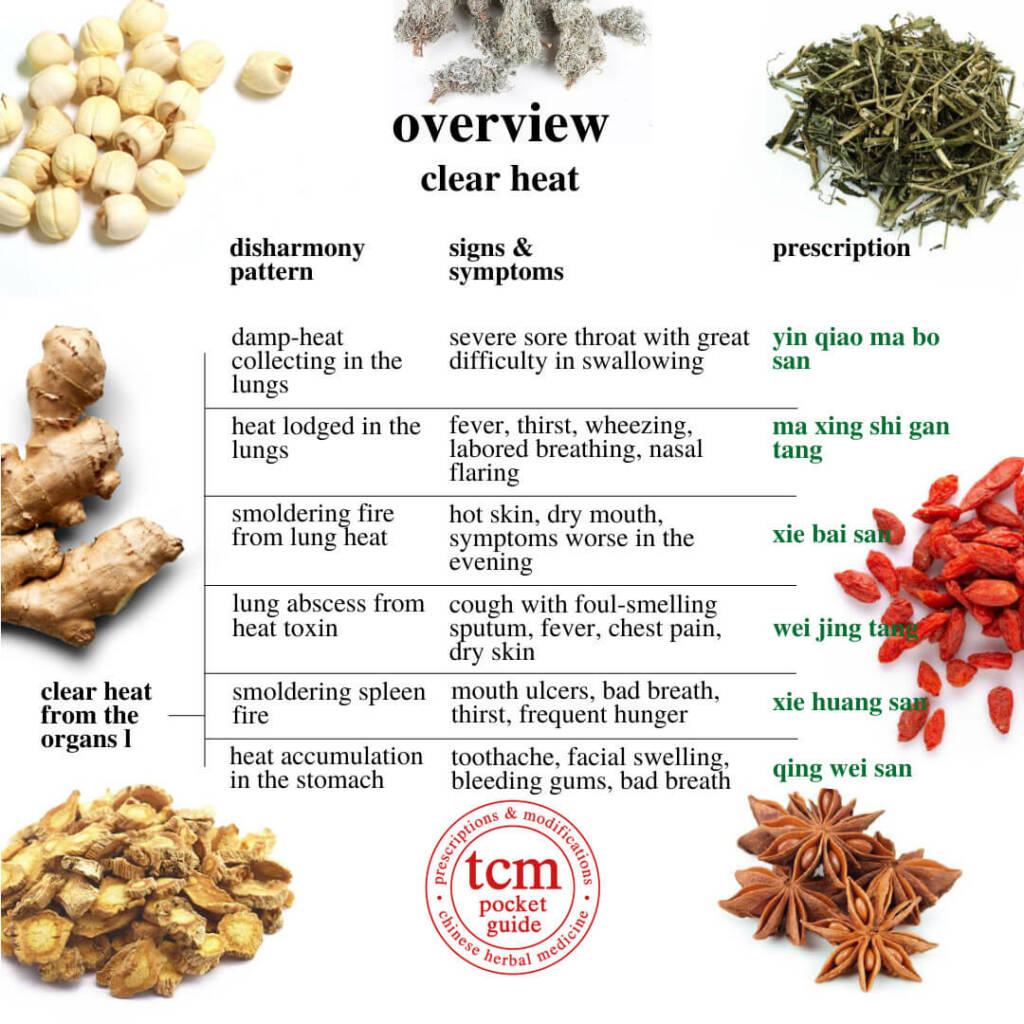 tcm pocketguide overview clear heat clear heat from organs