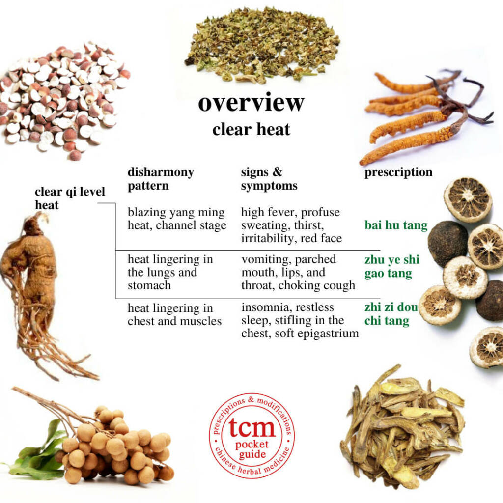 tcm pocketguide overview clear heat clear qi level heat