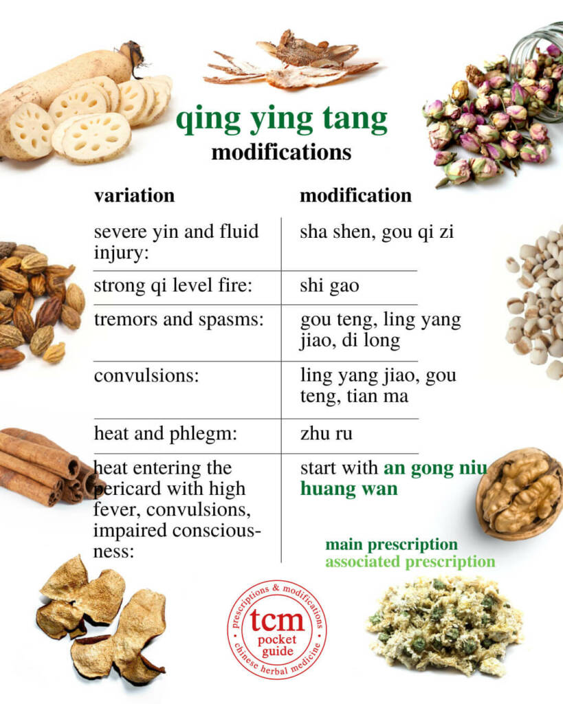 qing ying tang modifications