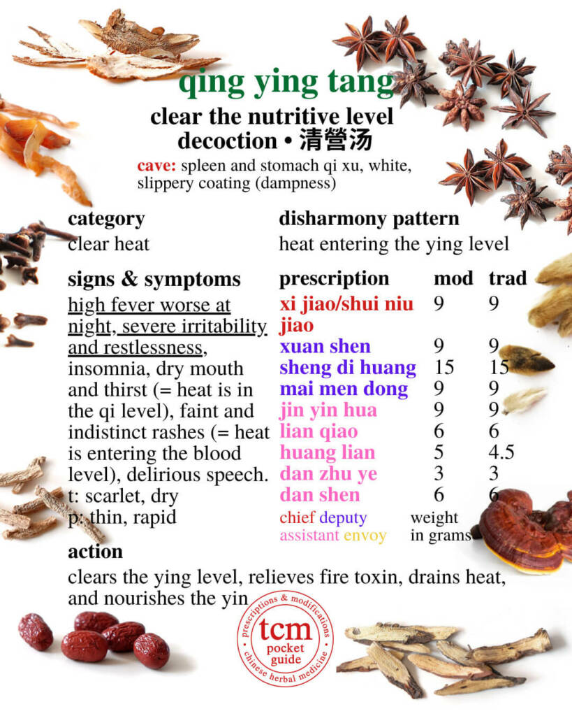 qing ying tang prescription - tcm pocketguide