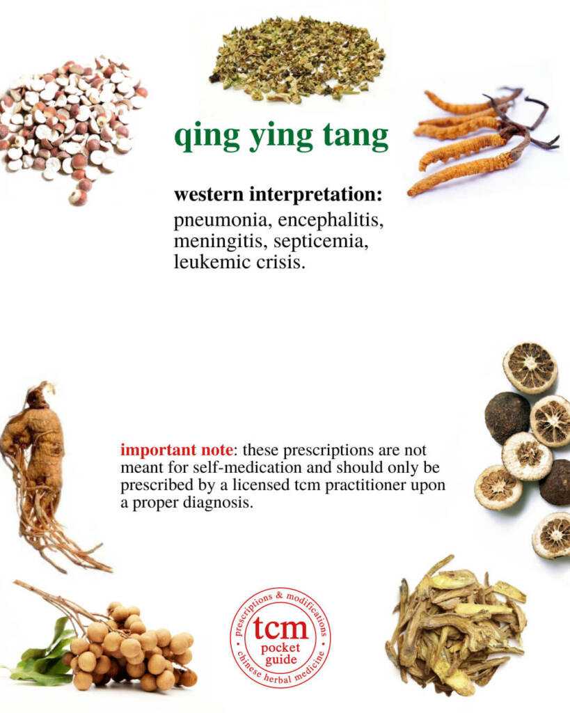 qing ying tang western interpretation