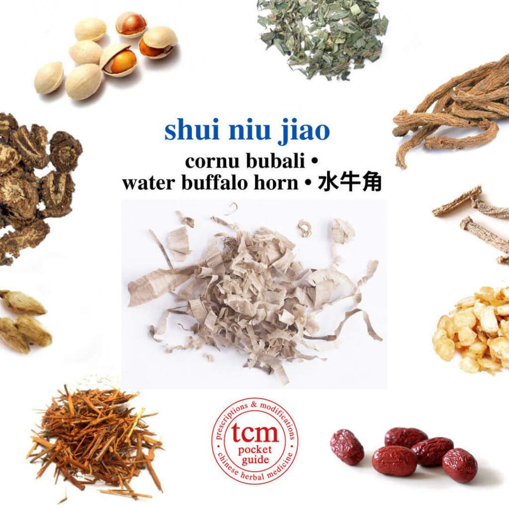 tcm pocketguide shui niu jiao herb