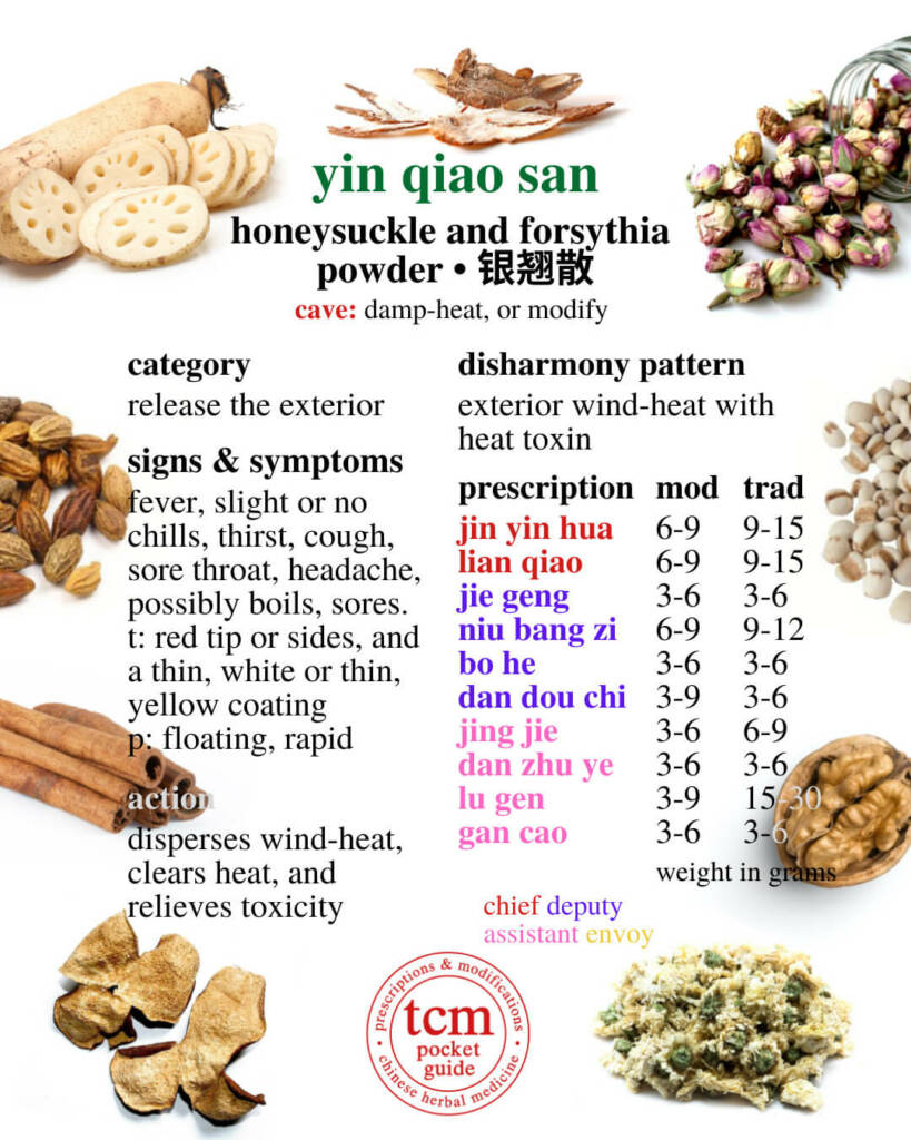 yin qiao san prescription - tcm pocketguide