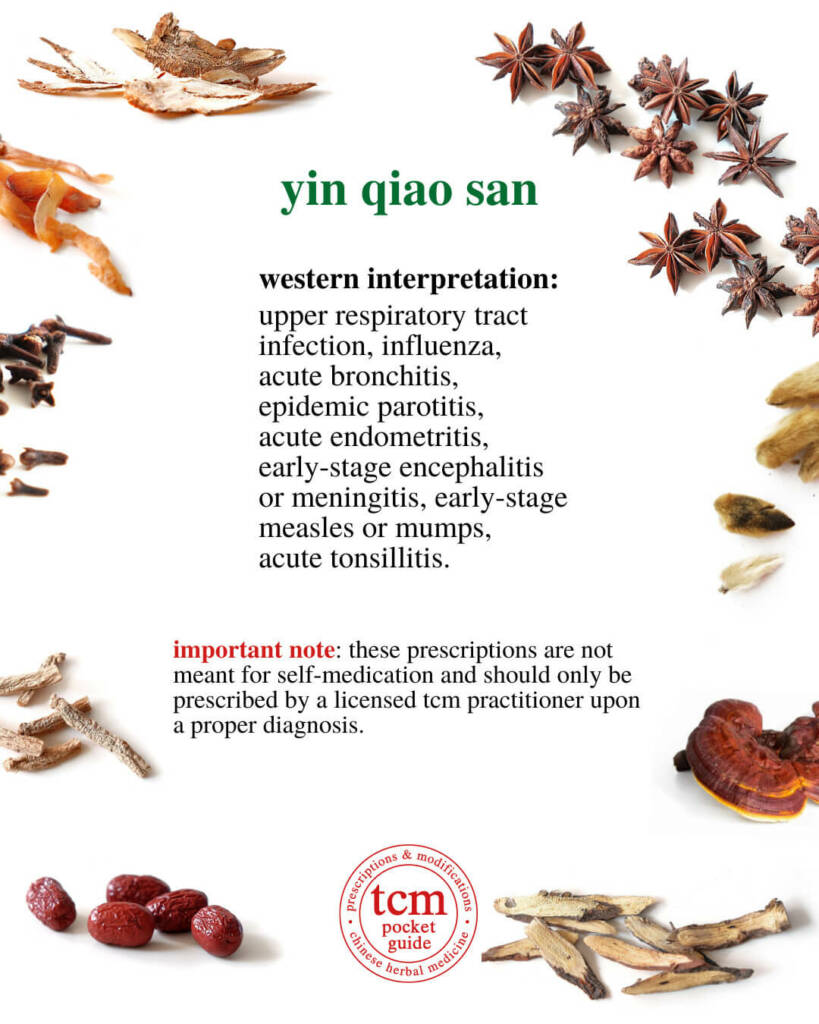 yin qiao san western interpretation